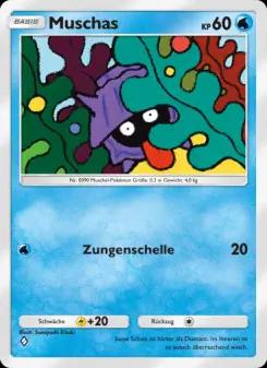 Muschas