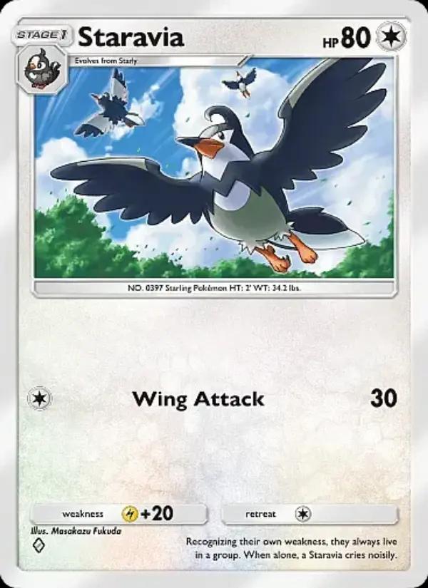 Staravia (Front)