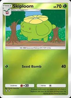 Skiploom