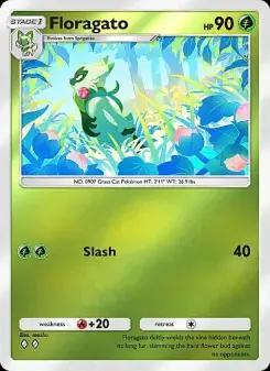 Floragato