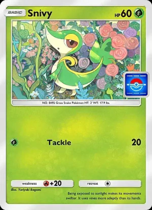 Snivy (Front)