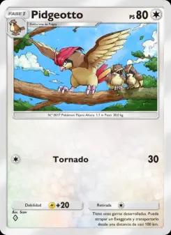 Pidgeotto