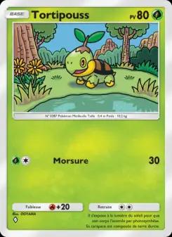 Tortipouss