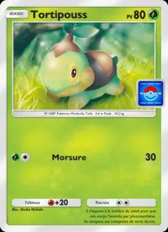 Tortipouss
