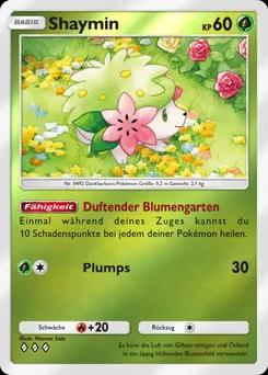 Shaymin A4b-031