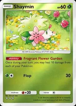 Shaymin A4b-031