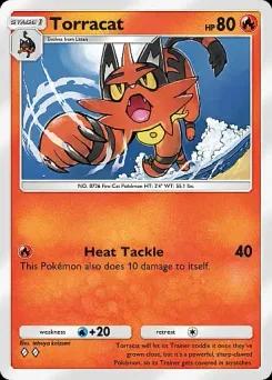 Torracat
