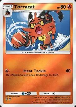 Torracat
