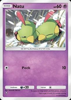 Natu B1-097