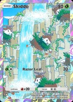 Skiddo B1-228