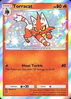 Torracat