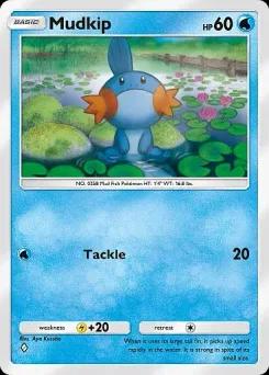 Mudkip B2-033