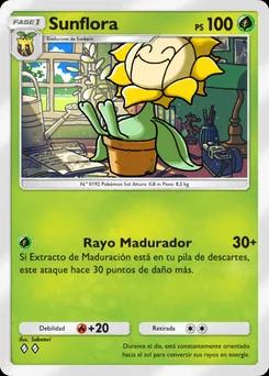 Sunflora B1a-008