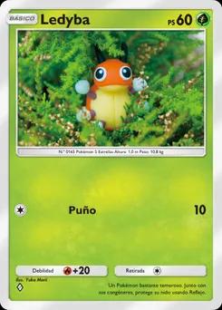 Ledyba B2-001