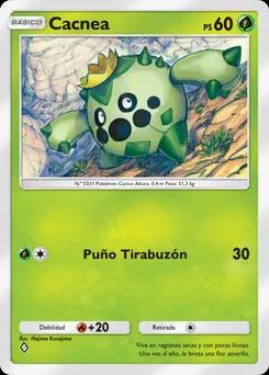 cacnea B2-006