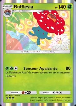 Rafflesia A1-013