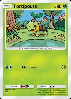 Tortipouss