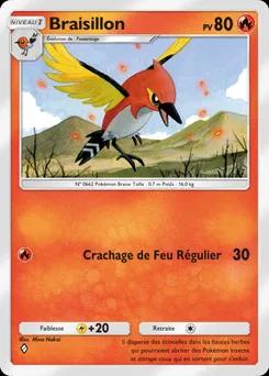 Braisillon