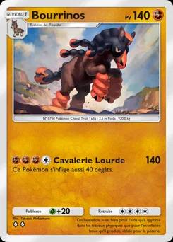 Bourrinos