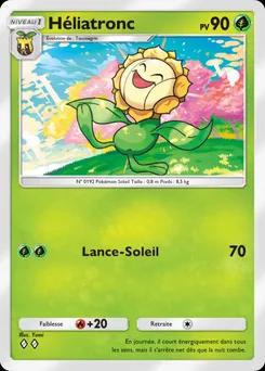 Flore solaire