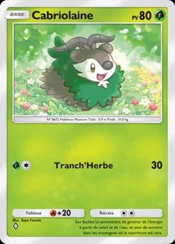 Skiddo