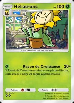 Héliatronc B1a-008