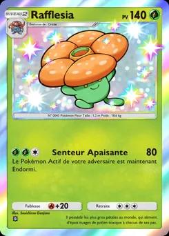 Rafflesia B1a-090