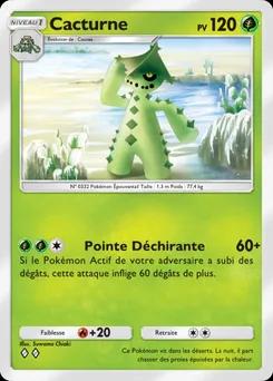 Cactus B2-007