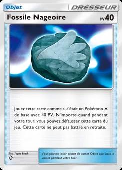 Fossile de voile B2-146