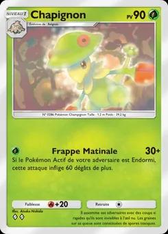 Chapignon B3-012