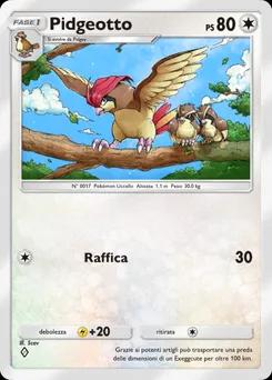 Pidgeotto