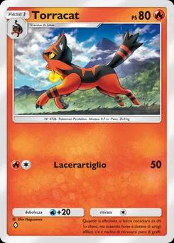Torracat