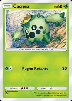 Cacnea B2-006
