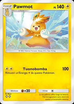 Pawmot B2a-040
