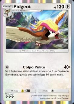 Pidgeot C1-104
