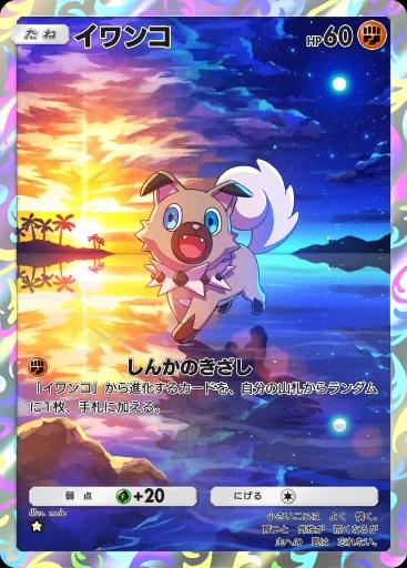 イワンコ