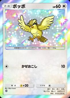 ポッポ
