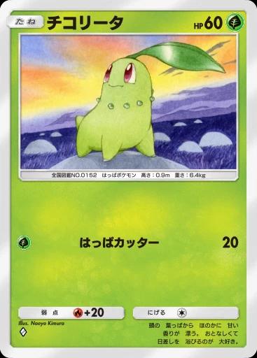 チコリータ