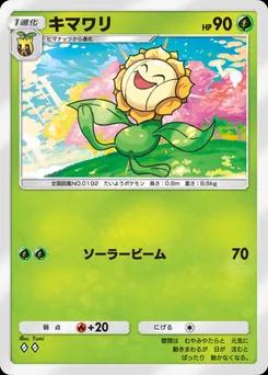 キマワリ