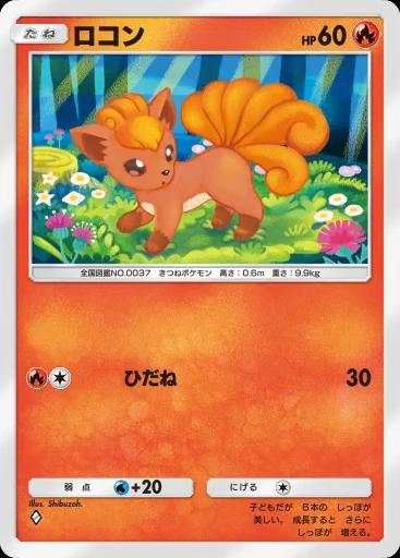 ロコン