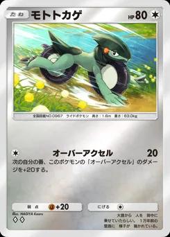 モトトカゲ