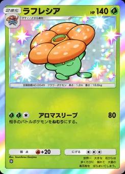 ラフレシア