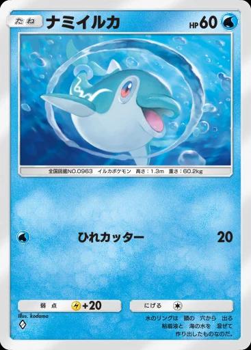 ナミイルカ