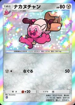 ナカヌチャン