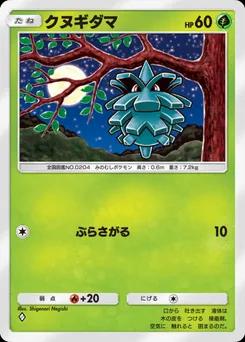 クヌギダマ