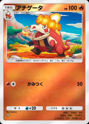 アチゲータ