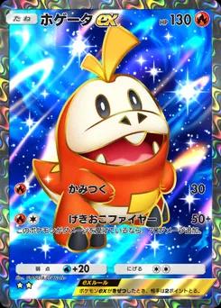 ホゲータex
