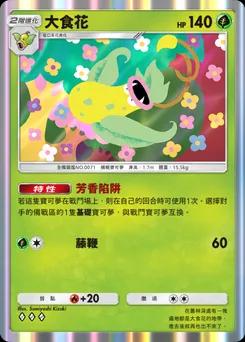 大食花