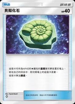 貝殼化石