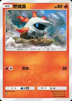 燃燒蟲